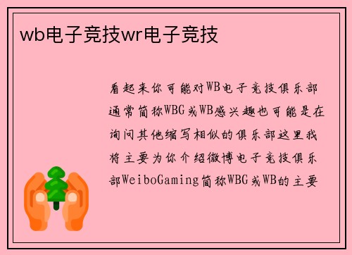 wb电子竞技wr电子竞技